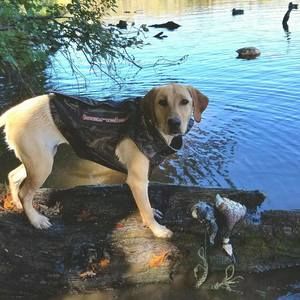 Meet your Posher, Jody